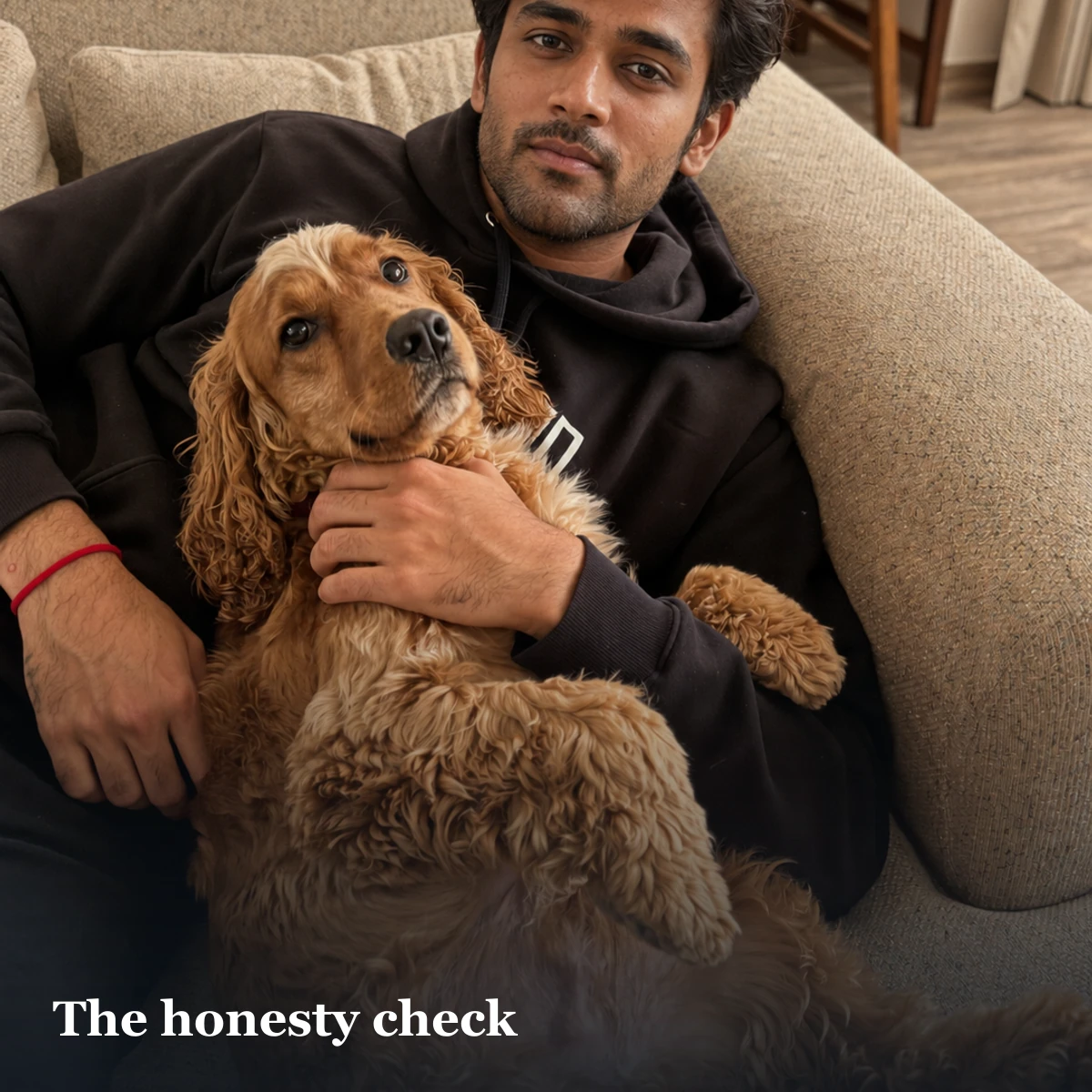 Dog portrait used for a dating-profile honesty check about ownership and everyday context